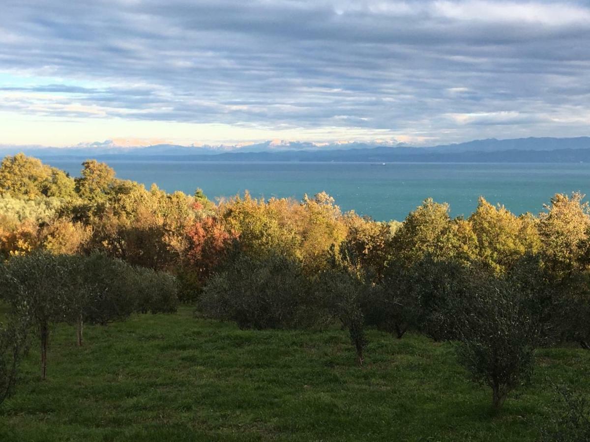 Fontana Apartman Izola Kültér fotó
