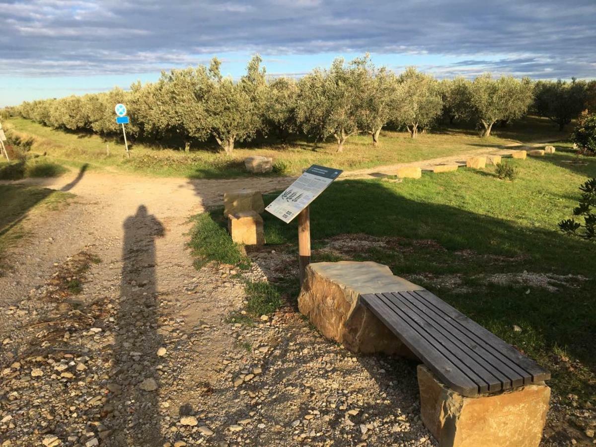 Fontana Apartman Izola Kültér fotó